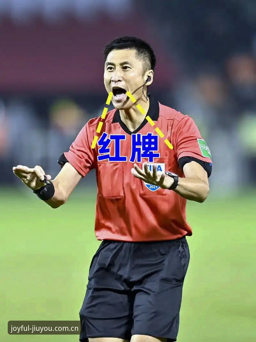 世界杯裁判马宁谈舆论压力：一个数据控视角的另类解读，九游平台用户可了解最新动态